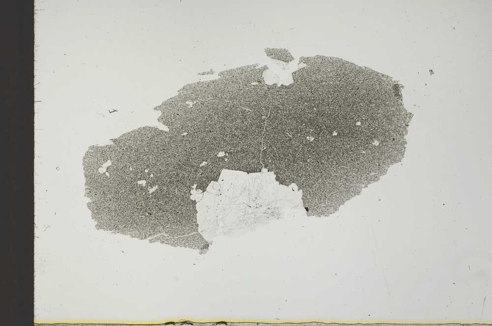 Plane Polarized, S26113