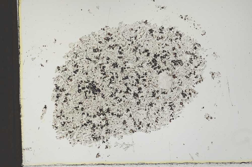 Plane Polarized, S26117