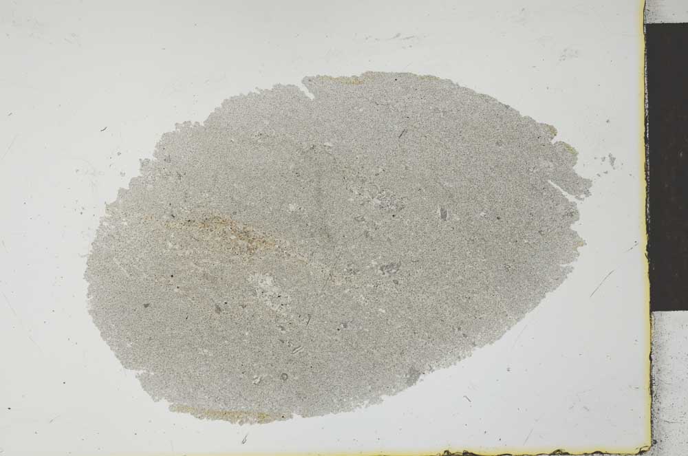 Plane Polarized, S26137