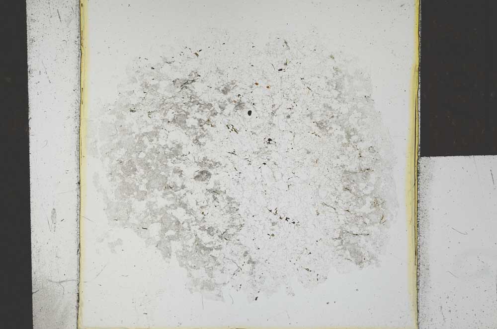 Plane Polarized, S26186