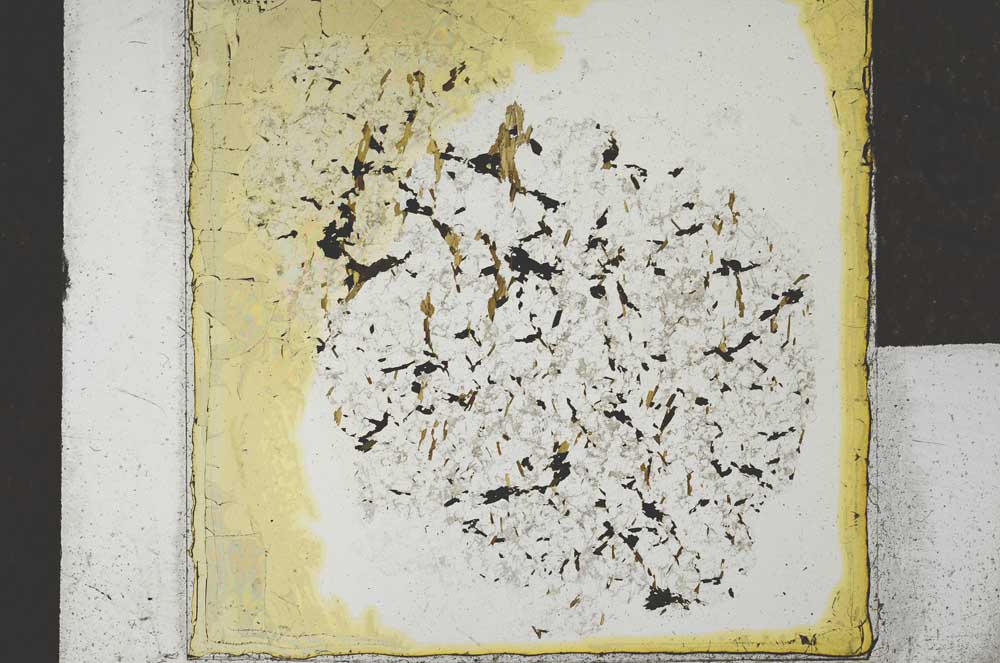 Plane Polarized, S26259