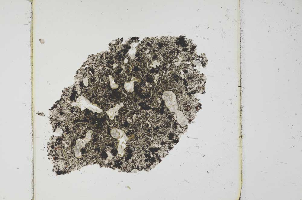 Plane Polarized, S26277