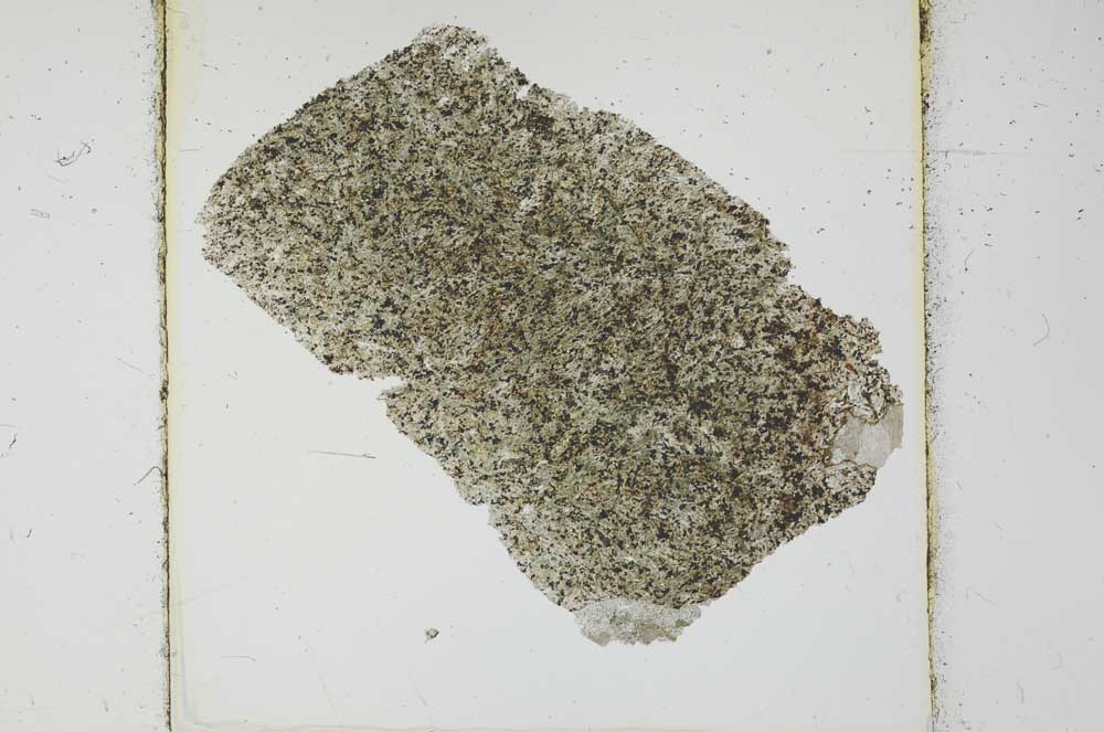 Plane Polarized, S26278