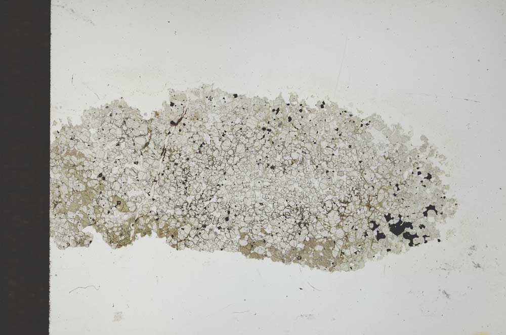 Plane Polarized, S26280