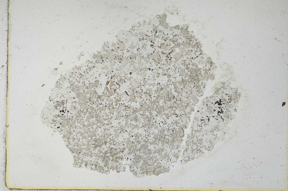 Plane Polarized, S26281