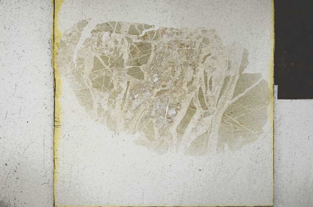 Plane Polarized, S26303