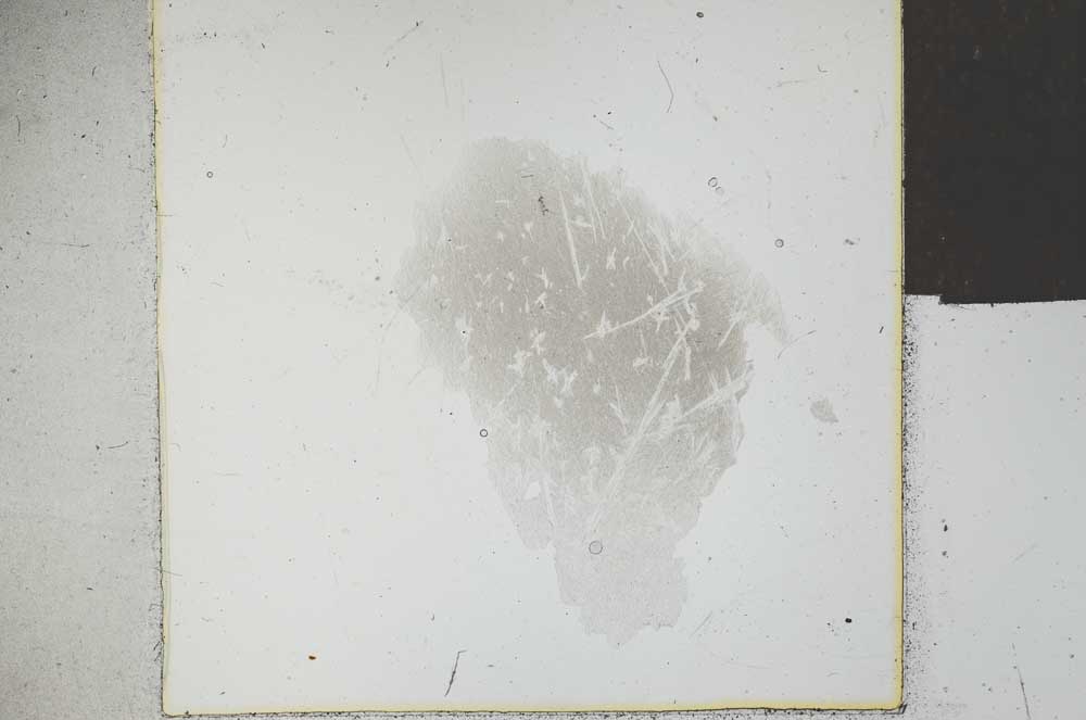 Plane Polarized, S26304