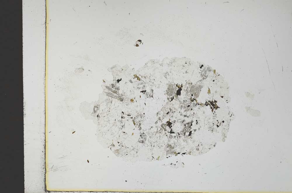 Plane Polarized, S26305