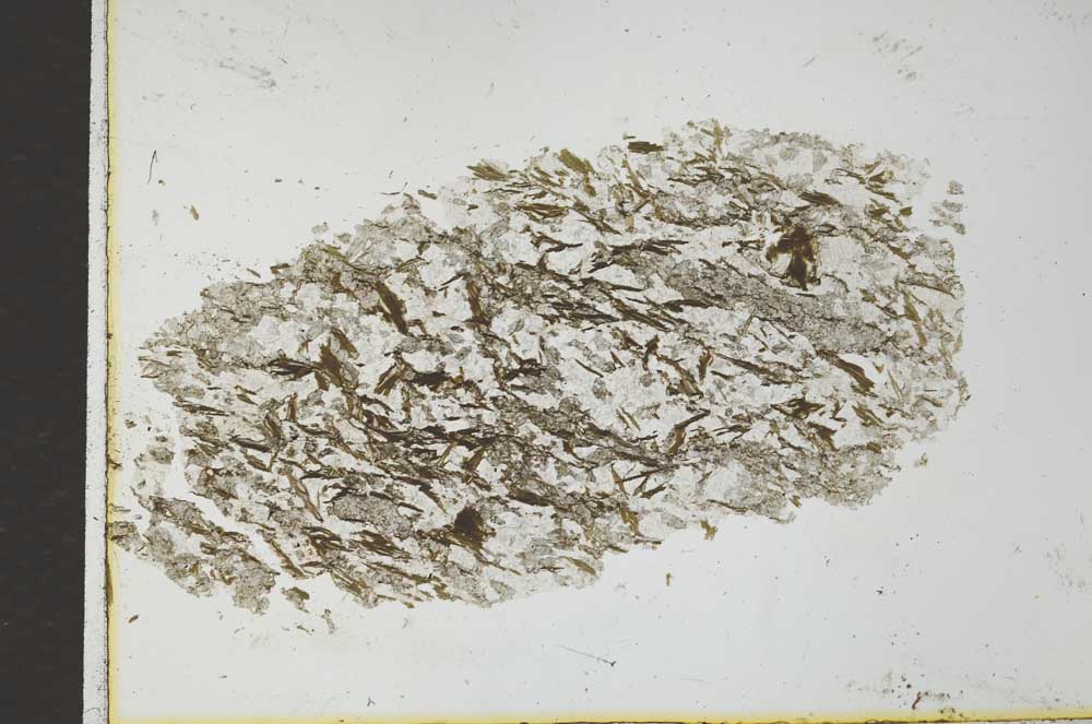 Plane Polarized, S26339