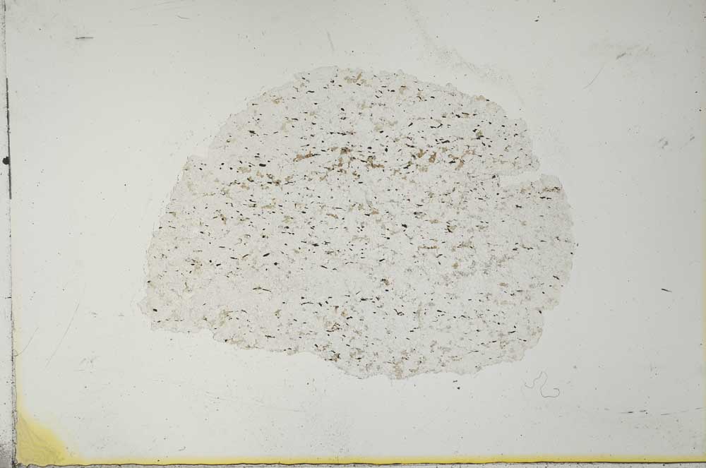 Plane Polarized, S26341