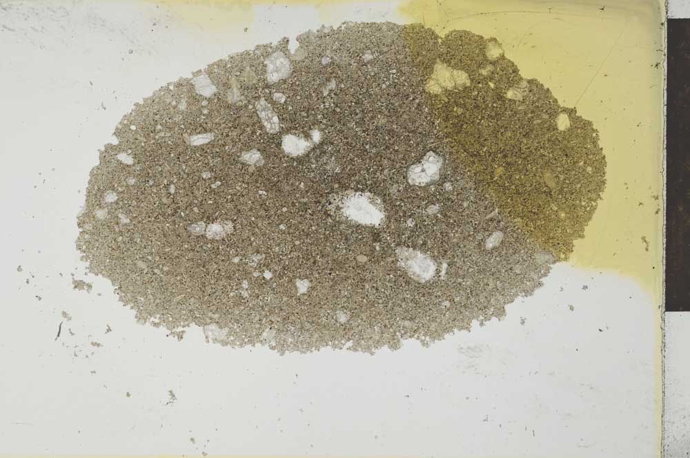 Plane Polarized, S26344