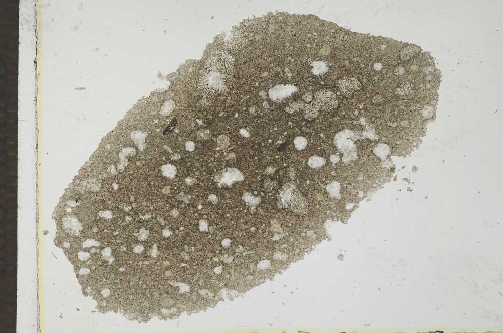 Plane Polarized, S26345