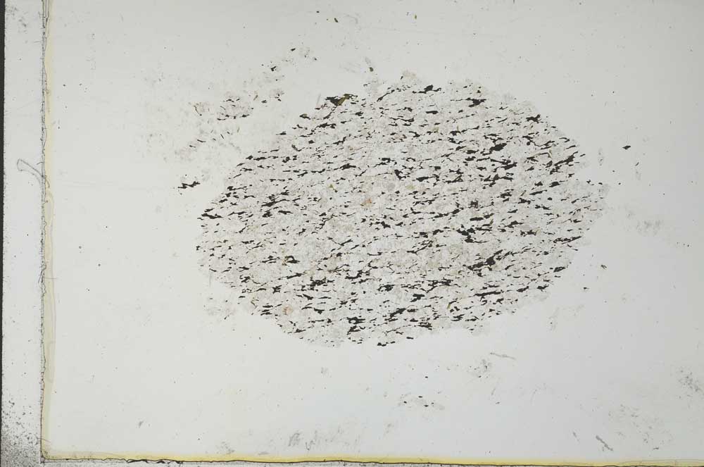 Plane Polarized, S26347