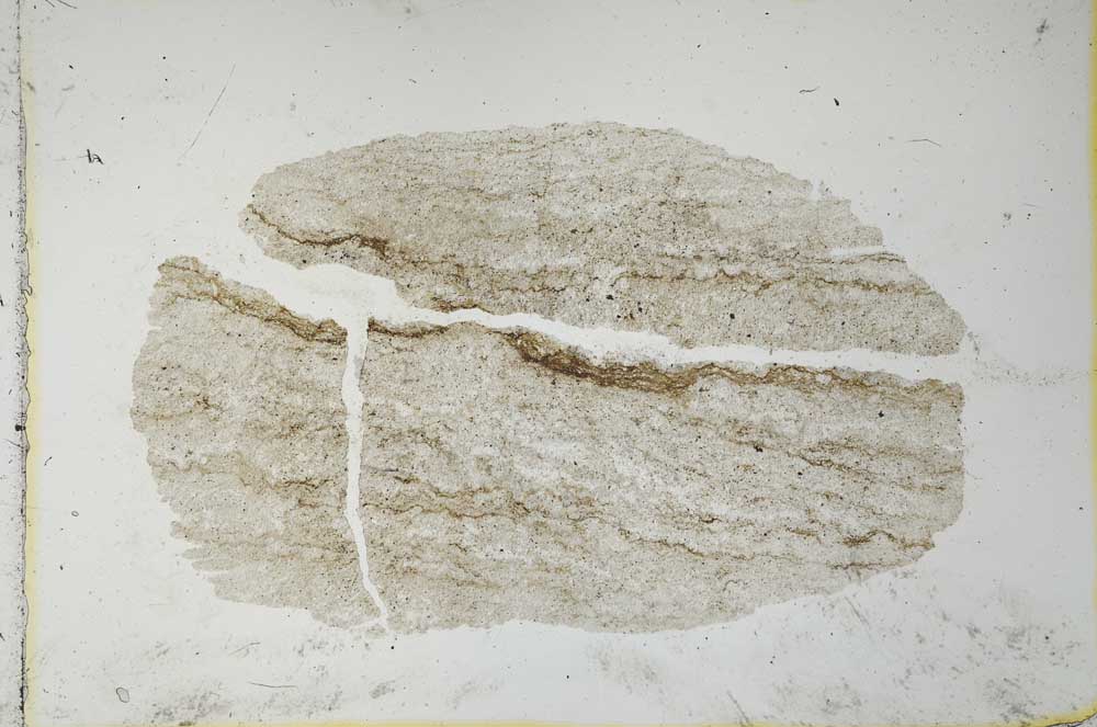 Plane Polarized, S26354