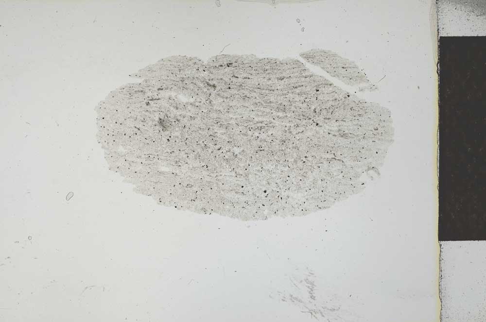 Plane Polarized, S26355