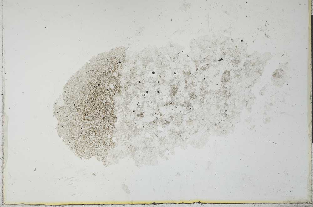 Plane Polarized, S26358