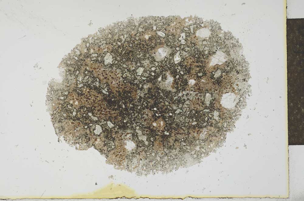 Plane Polarized, S26361