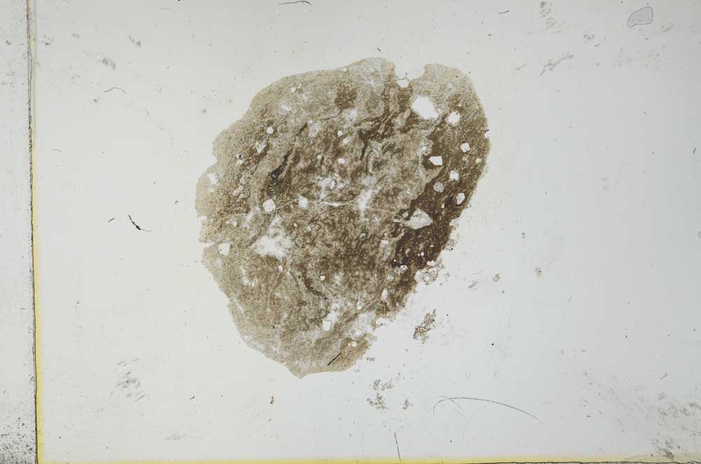 Plane Polarized, S26362