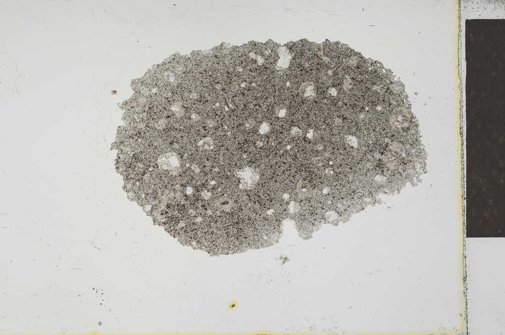 Plane Polarized, S26364