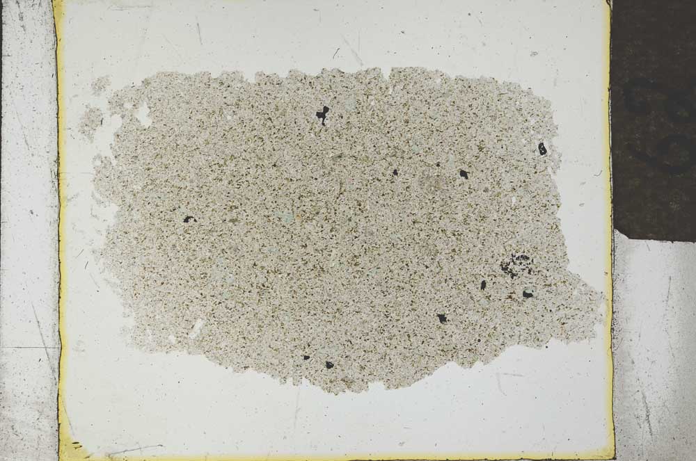 Plane Polarized, S26372