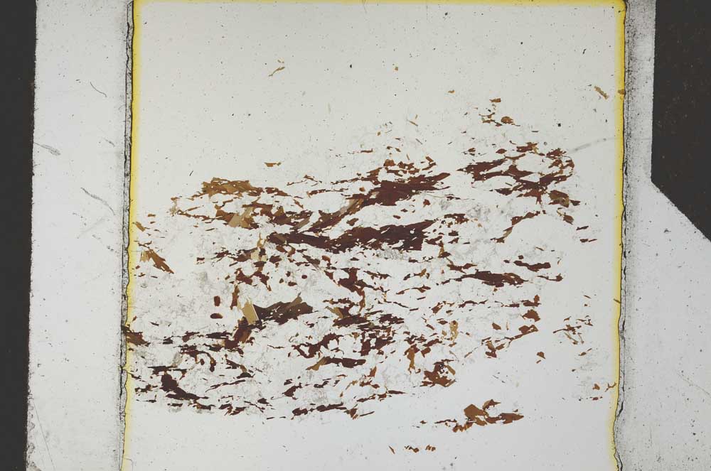 Plane Polarized, S26388
