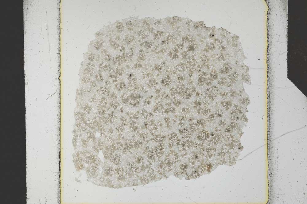 Plane Polarized, S26389