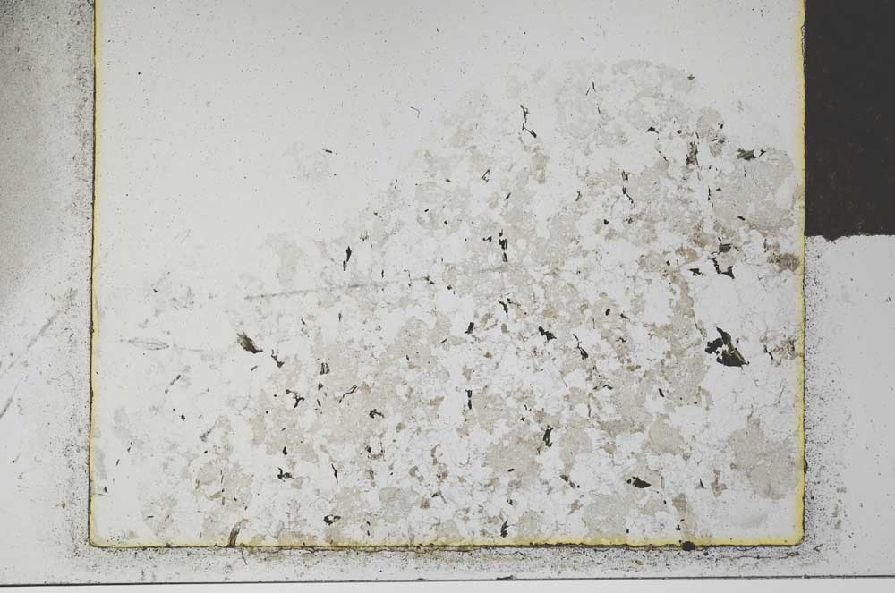 Plane Polarized, S26391