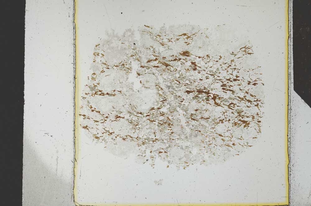 Plane Polarized, S26392