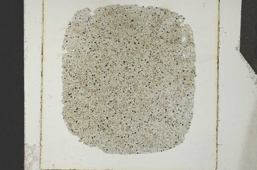 Plane Polarized, S26395
