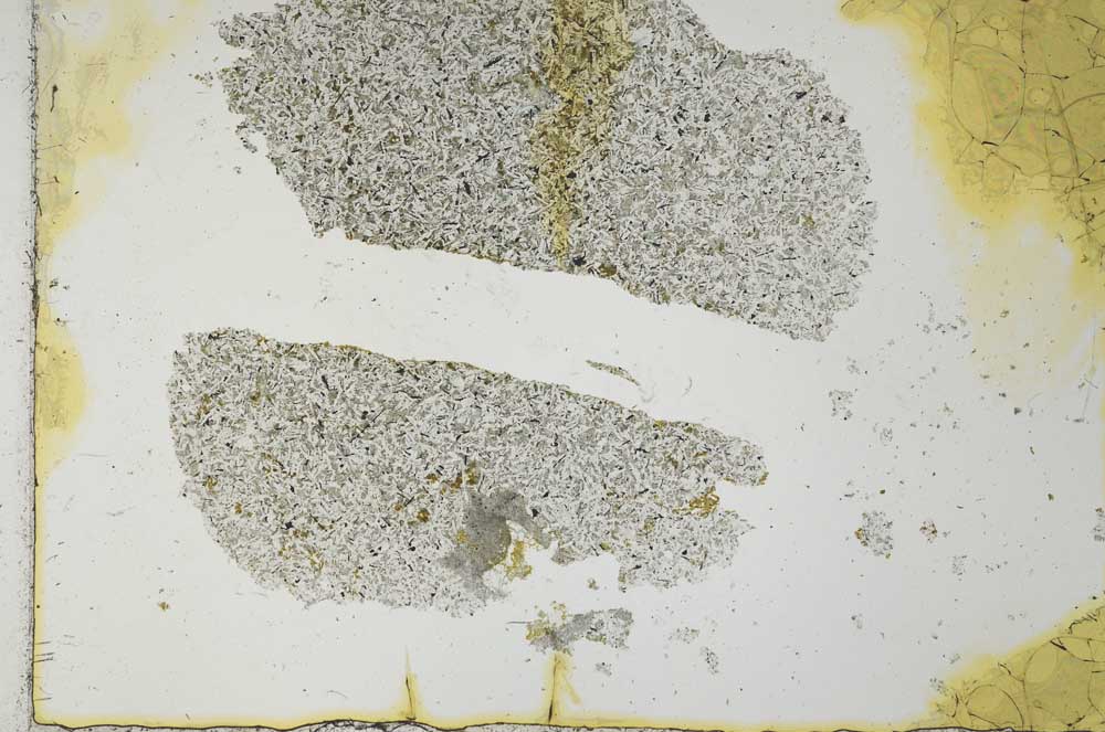 Plane Polarized, S26441