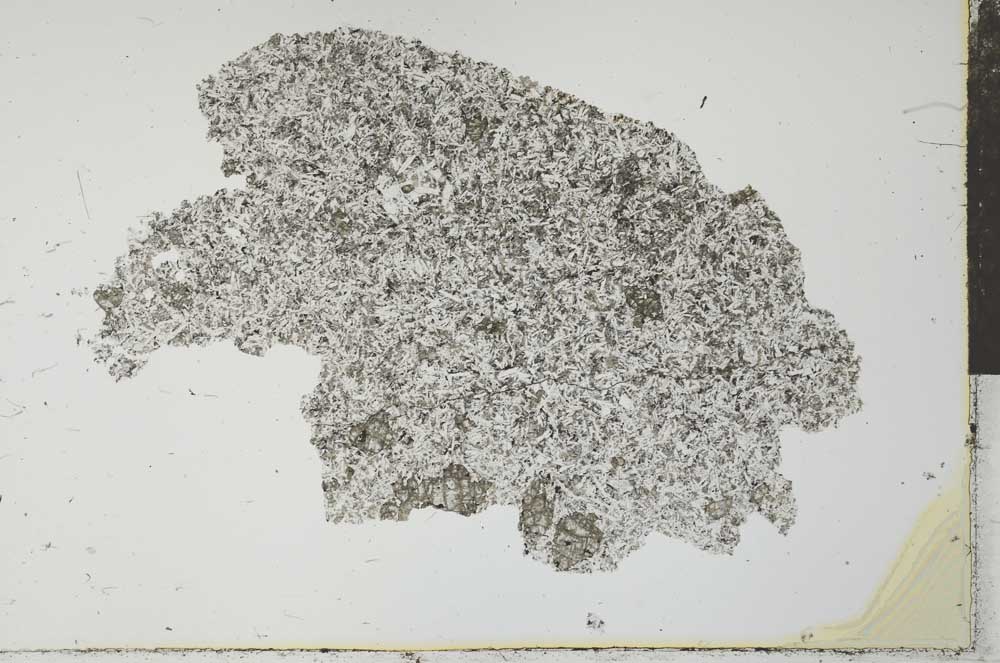 Plane Polarized, S26452