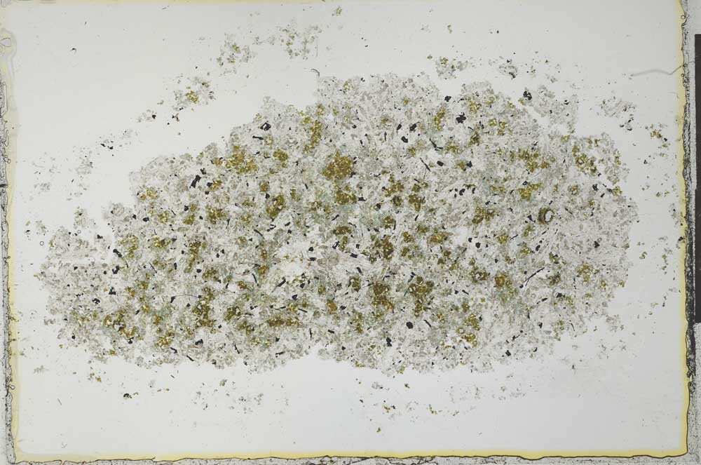 Plane Polarized, S26459