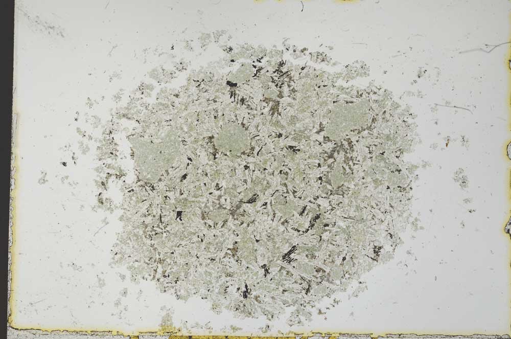 Plane Polarized, S26475