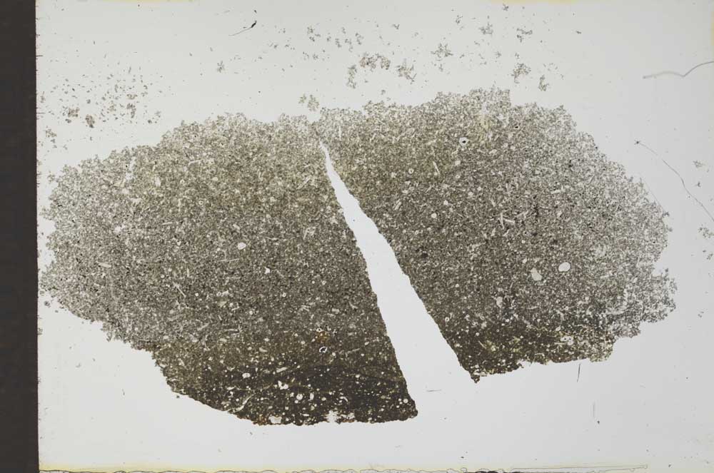 Plane Polarized, S26481