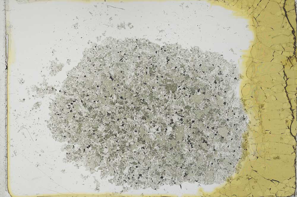 Plane Polarized, S26482