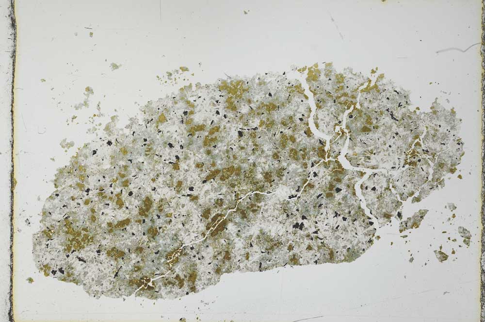 Plane Polarized, S26484