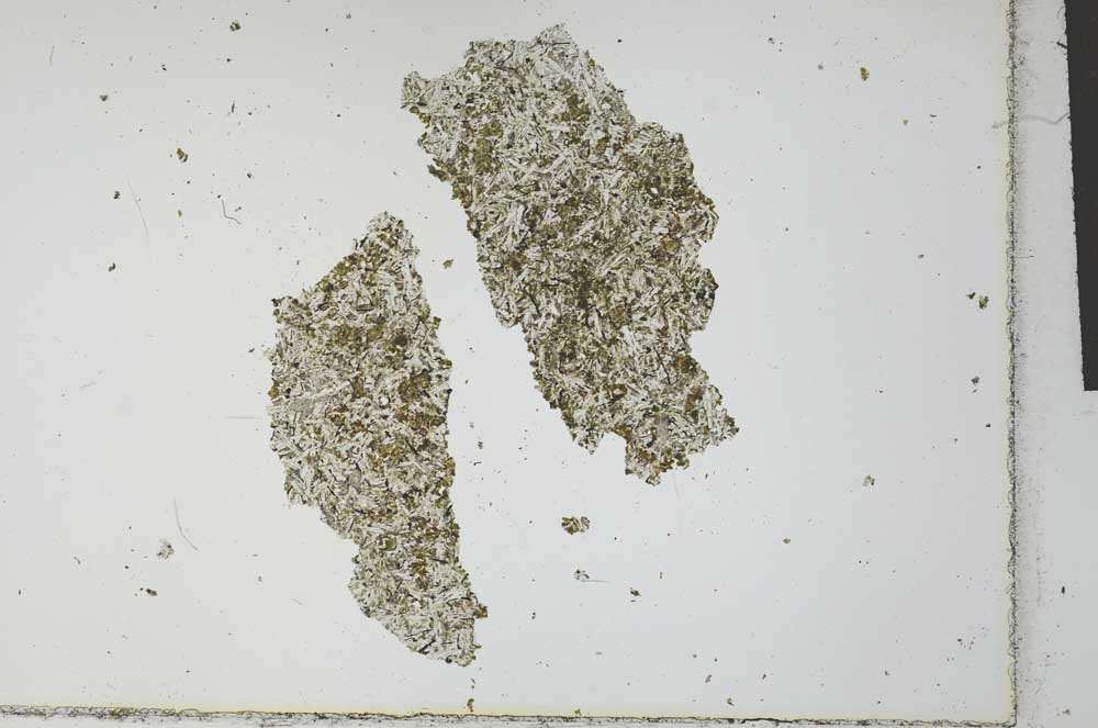 Plane Polarized, S26489