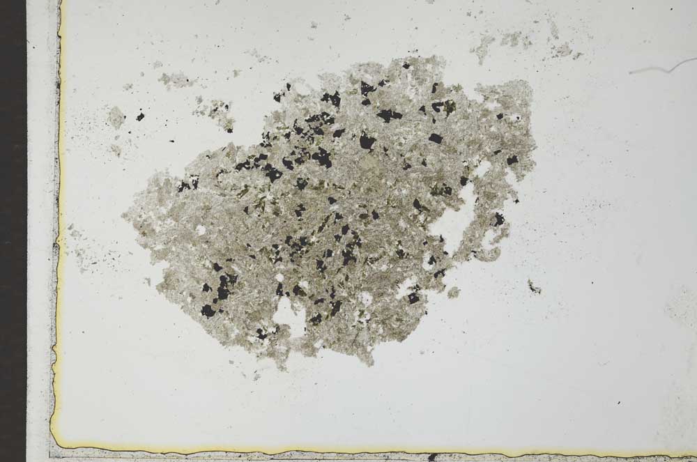 Plane Polarized, S26496
