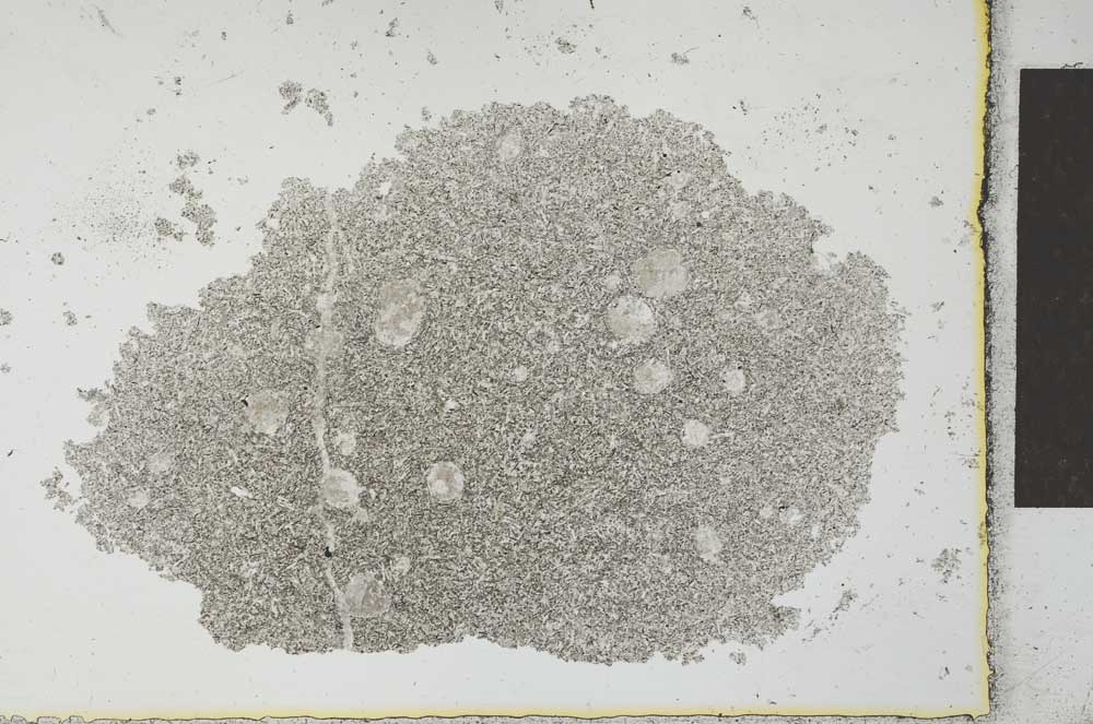 Plane Polarized, S26498