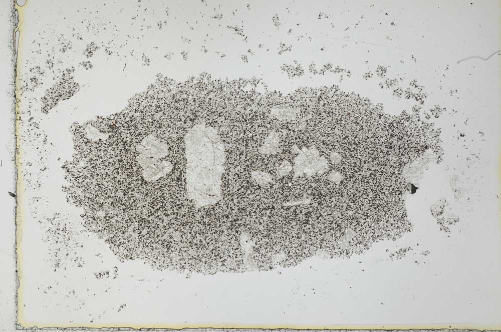 Plane Polarized, S26555