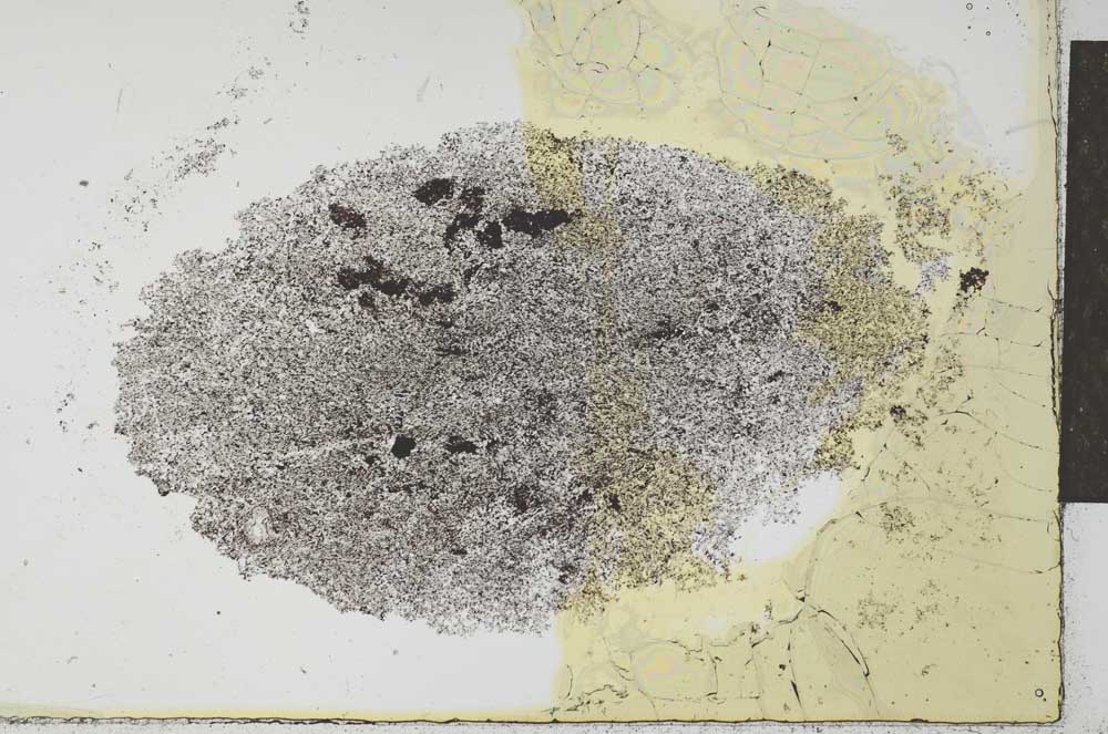 Plane Polarized, S26556