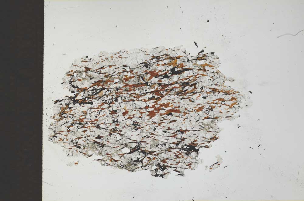 Plane Polarized, S26564