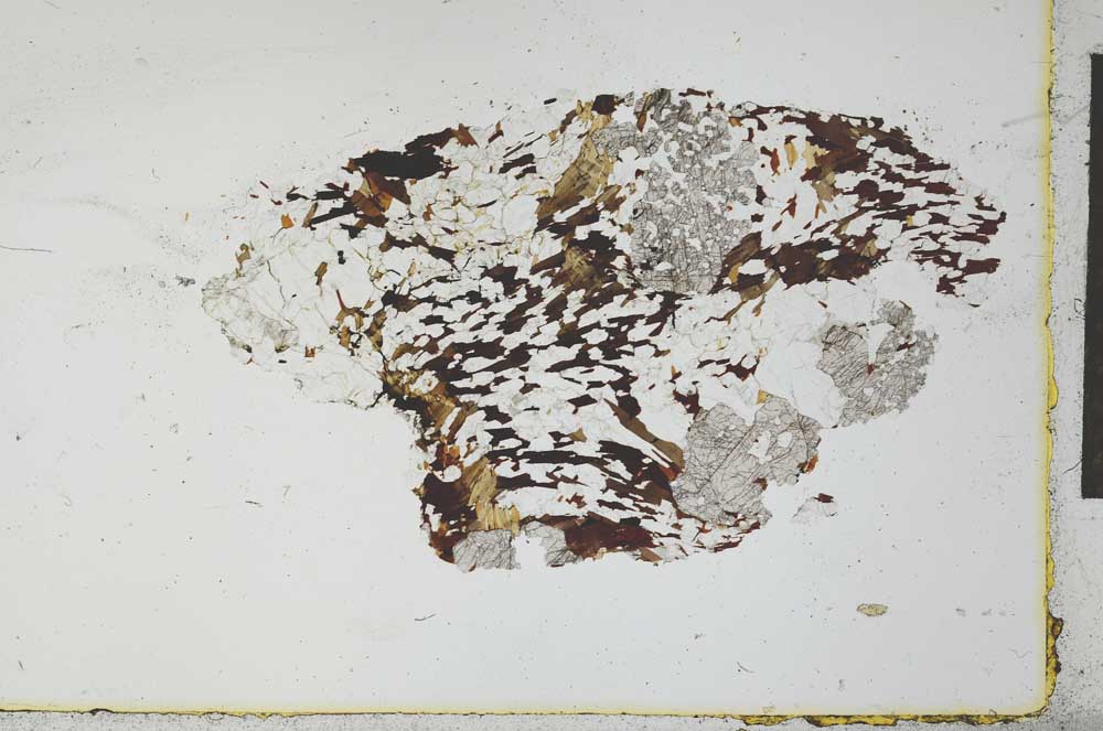 Plane Polarized, S26565