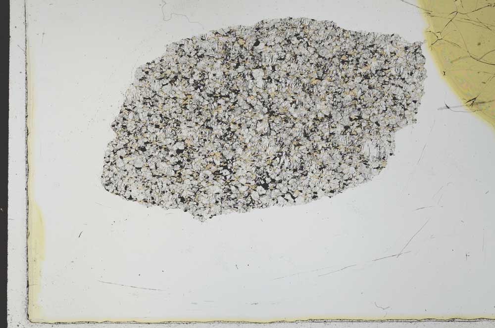 Plane Polarized, S26572