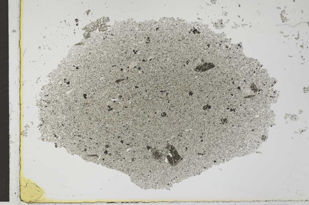 Plane Polarized, S26574