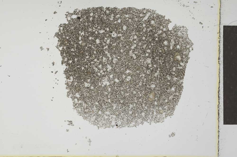 Plane Polarized, S26577
