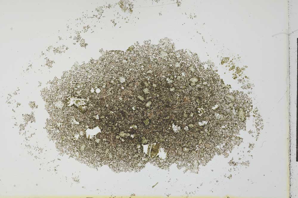 Plane Polarized, S26581