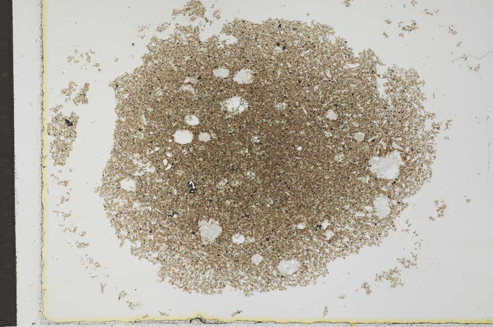 Plane Polarized, S26593