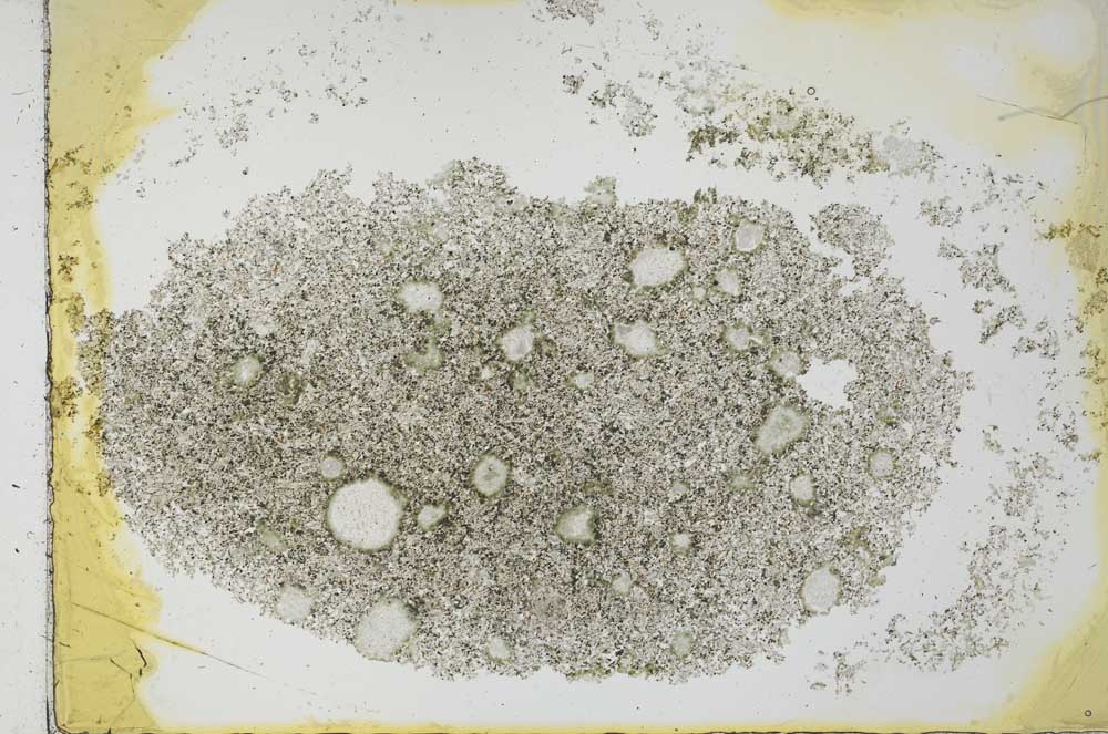 Plane Polarized, S26607