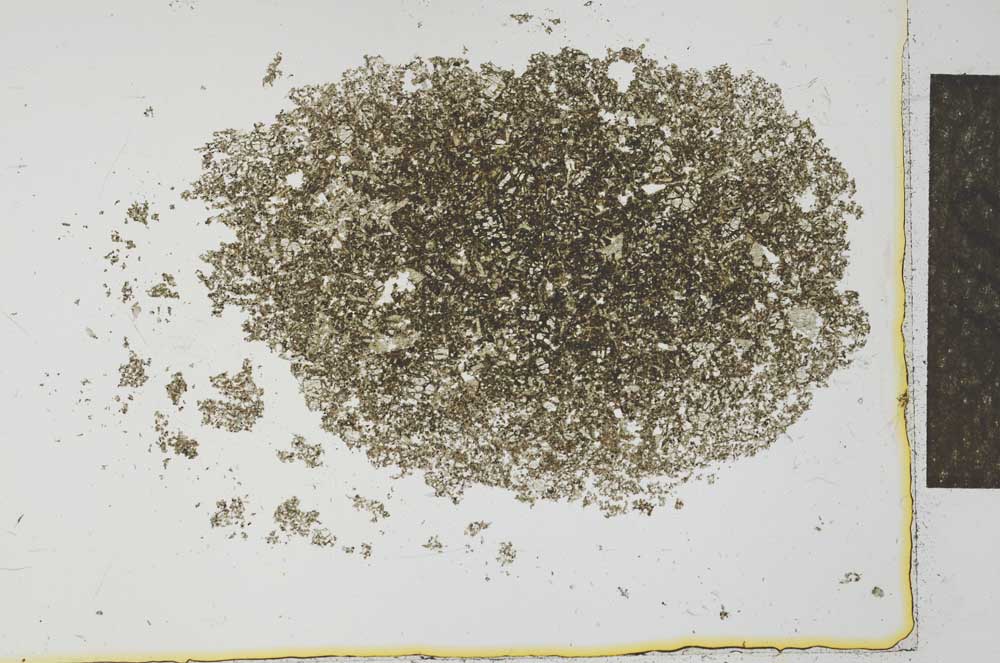 Plane Polarized, S26610